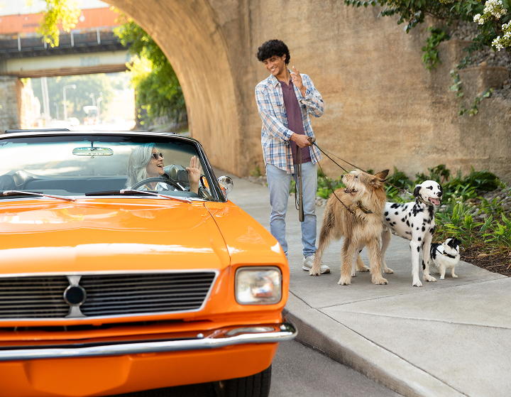 Woman in car speaking with dog walker