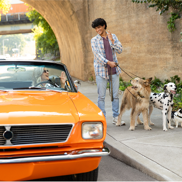 Woman in car speaking with dog walker