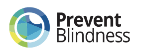 Prevent Blindness Logo showing Prevent Blindness is the nation’s leading volunteer eye health and safety organization dedicated to
                fighting blindness and saving sight